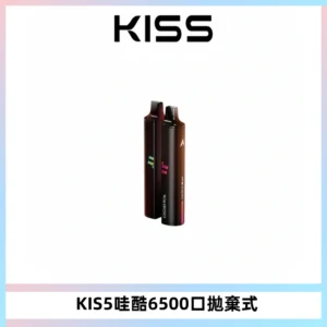 KIS5WAGOO哇酷6500口拋棄式 | 自由混搭雙口味 | 雙芯組合
