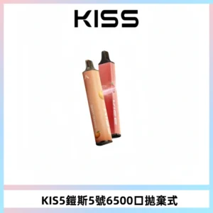 KIS5鎧斯5號一次性6500口磁吸式拋棄式電子煙#自由混搭#